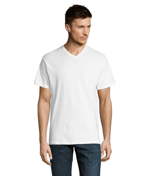 Kit da 30 pz di T-Shirt Uomo Vittoria
